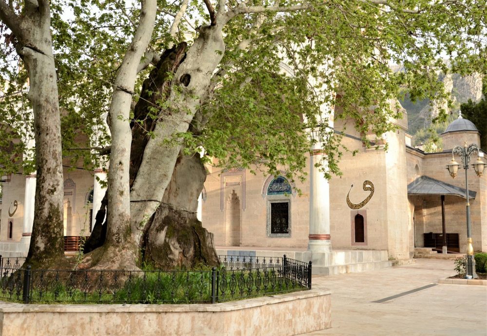 II. Beyazıt Camisi ve Külliyesi