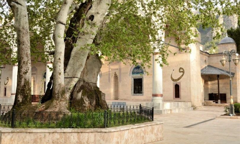 II. Beyazıt Camisi ve Külliyesi