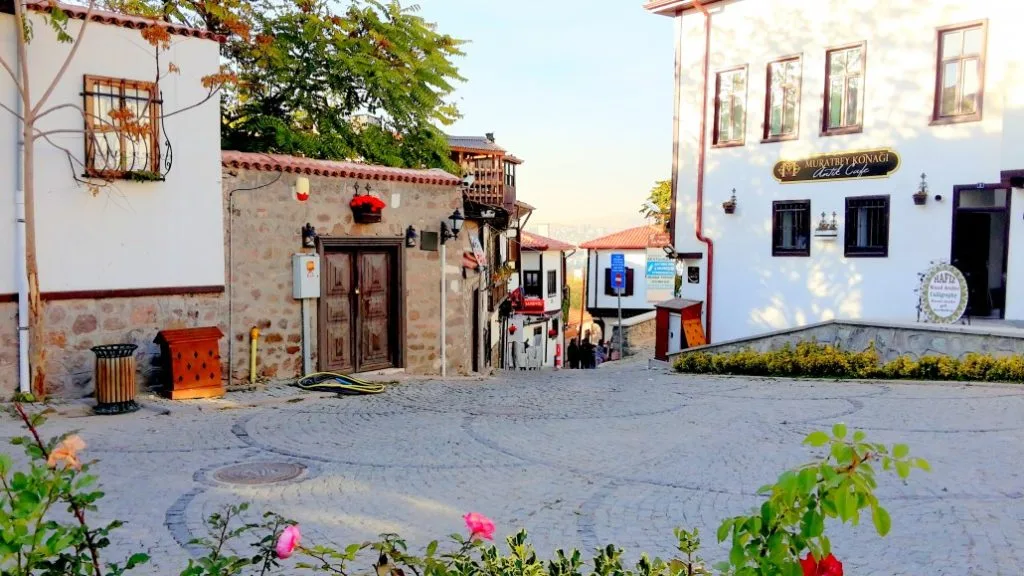 Zenger Pasha Mansion