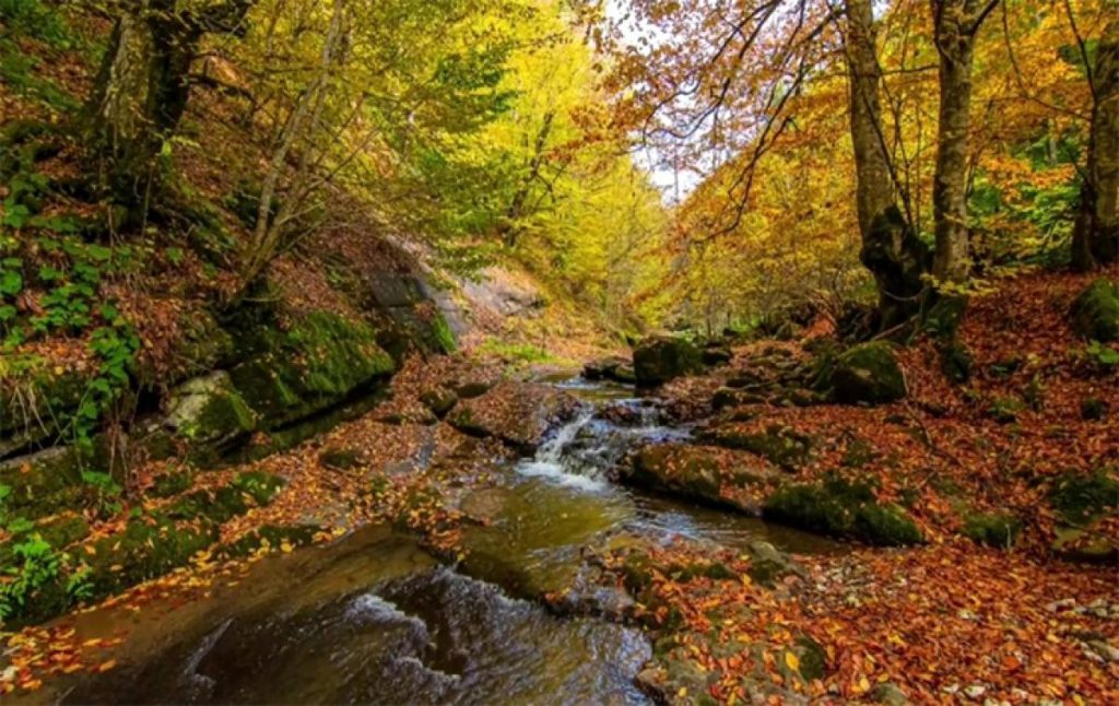 Yılançatı Kanyonu Tabiat Parkı