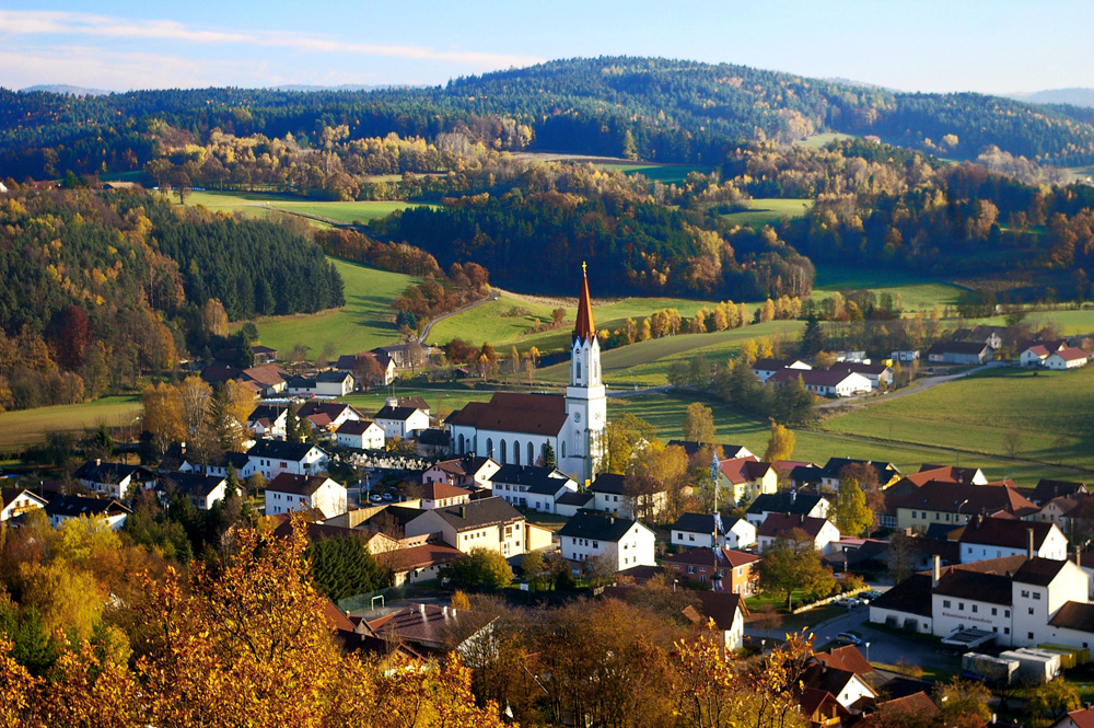 Bavyera Ormanı Ulusal Parkı (Haselbach)