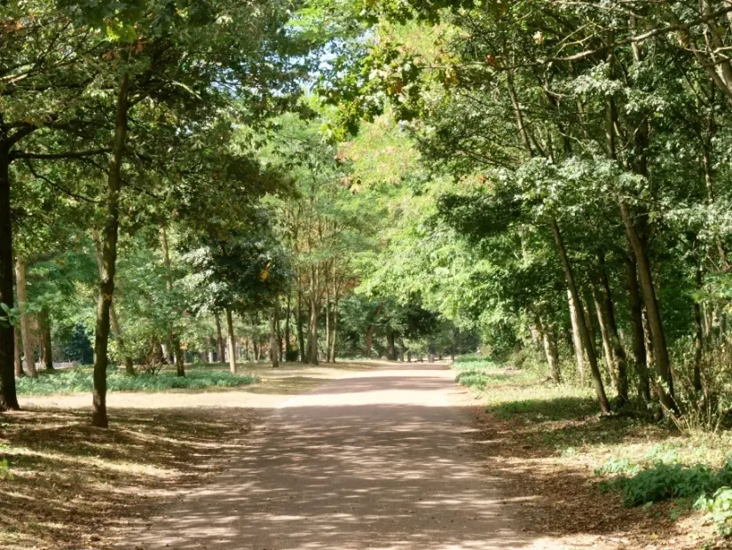 Boulogne Ormanı