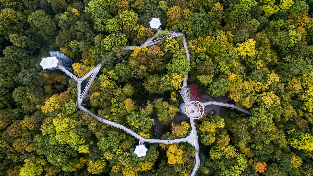 Hainich Ulusal Parkı (Thüringen)