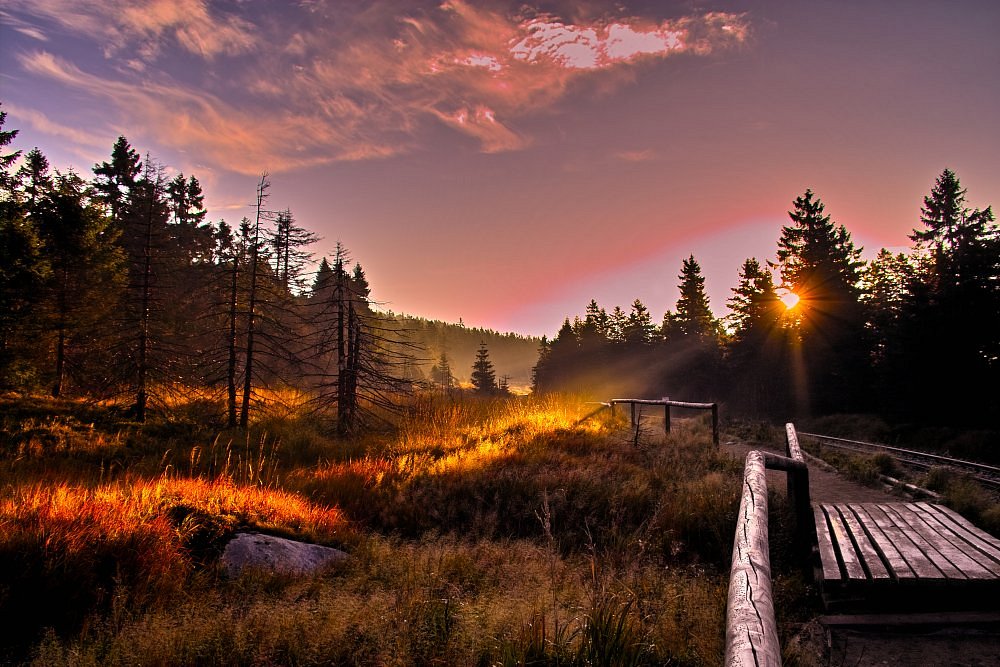 Harz Ulusal Parkı