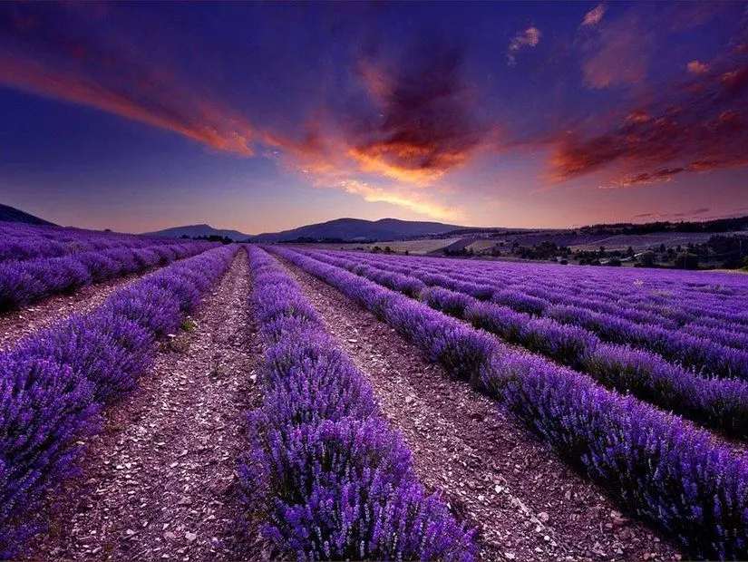 Provence