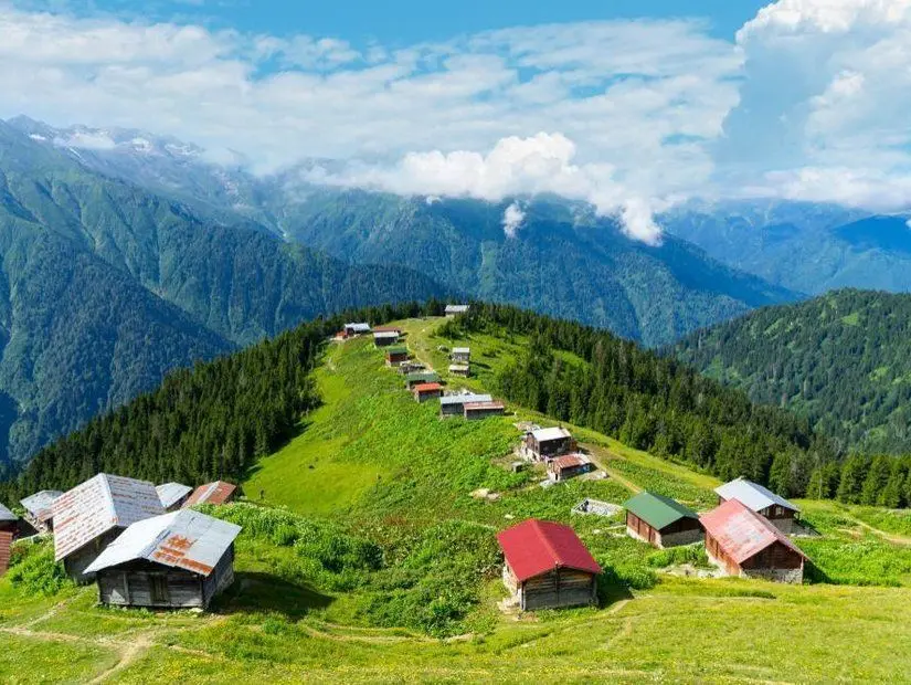 Rize