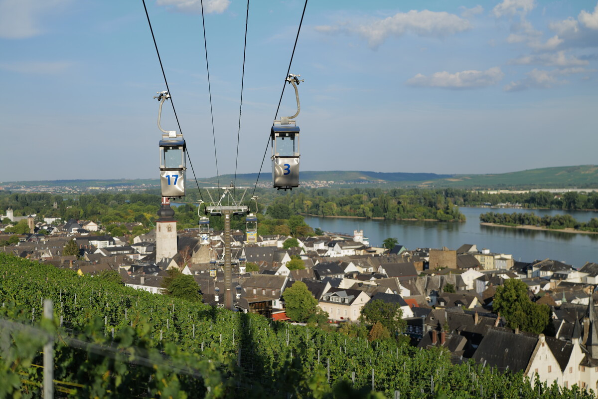 Seilbahn Rudesheim Teleferiği (Rüdesheim)