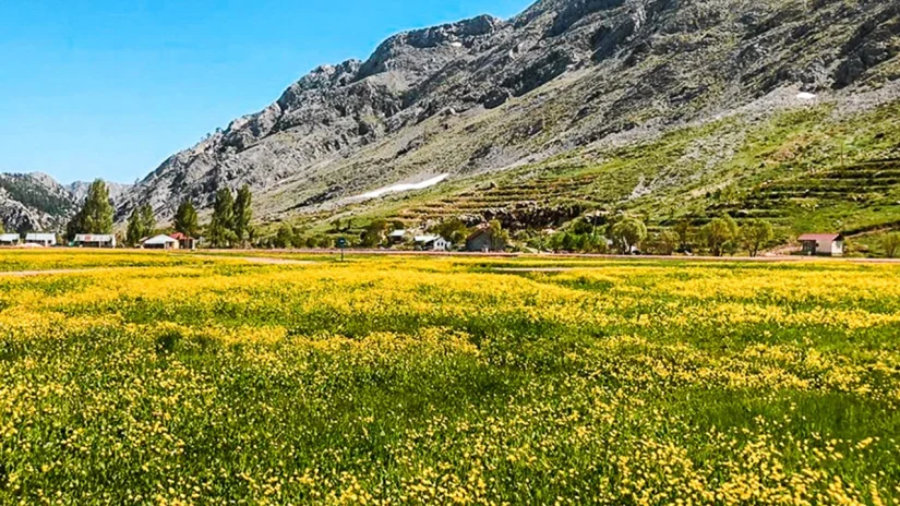 Gökbel Yaylası