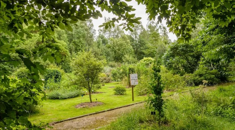 Jardín Botánico Jean Massart