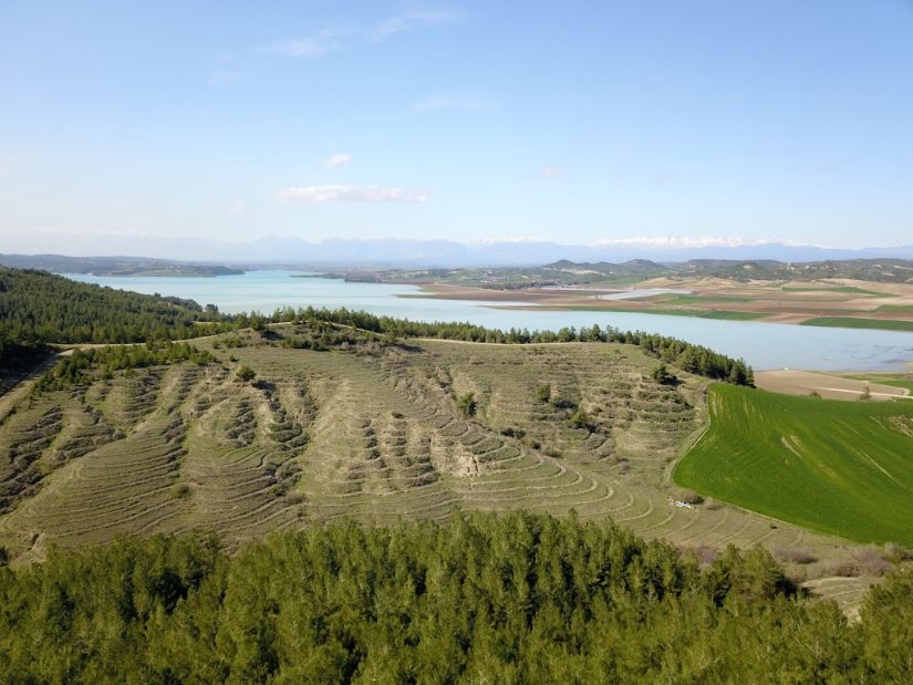 Karadenizliler Ormanı