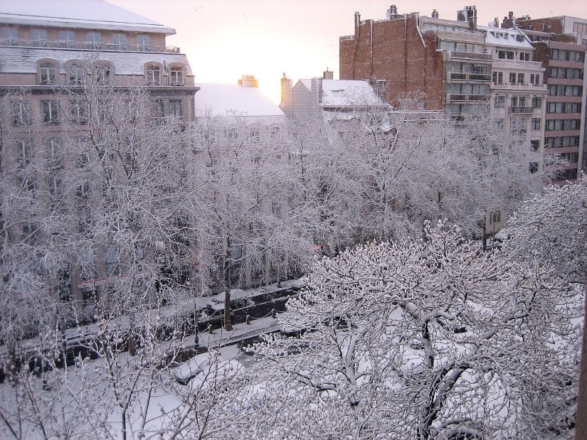 Louise Caddesi