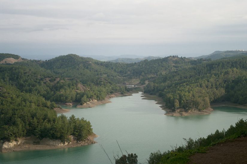 Süleyman Demirel Arboretumu