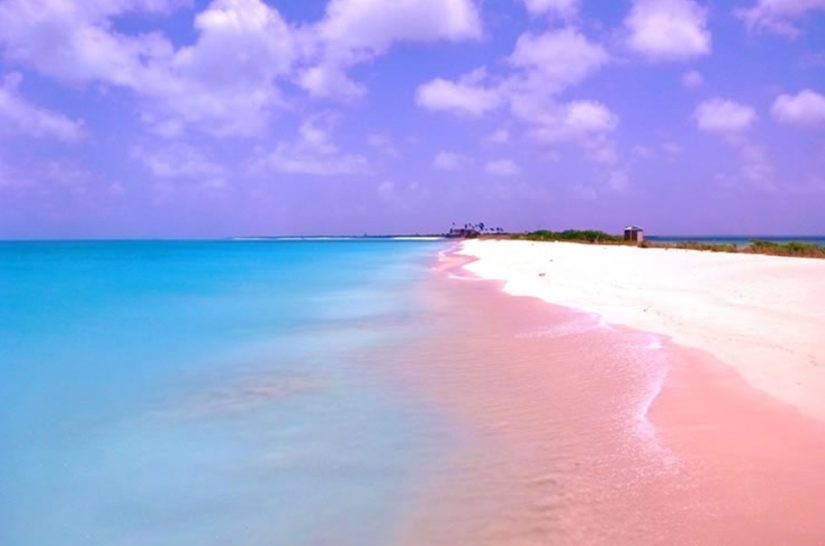 Pink Sands Beach, Bahamalar