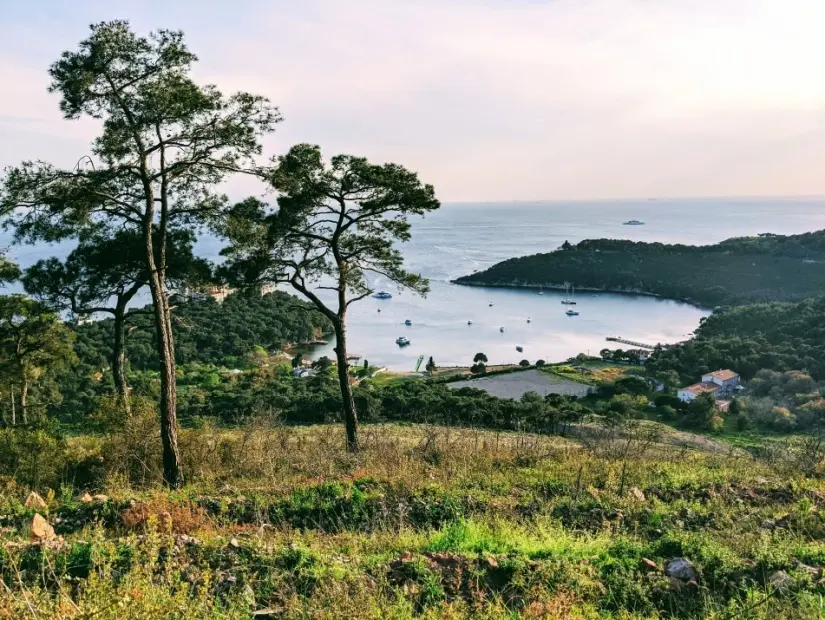 Çam Limanı-baai - Heybeliada
