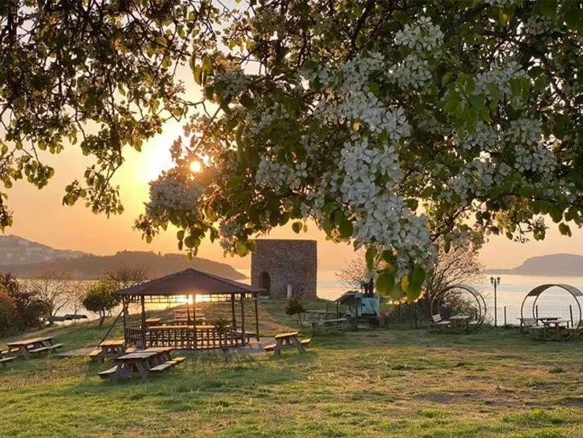 Natuurpark Değirmenburnu - Heybeliada
