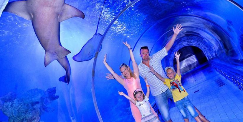 Gran Acuario de Hurghada