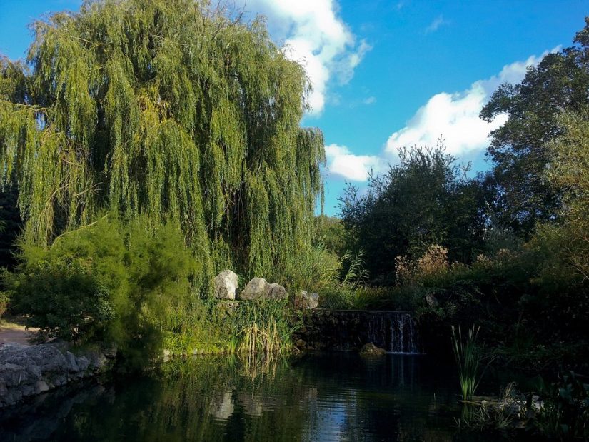 Salgirka Parkı
