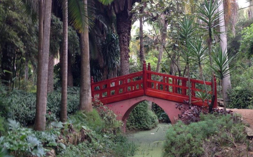 Giardini esotici di Bouknadel