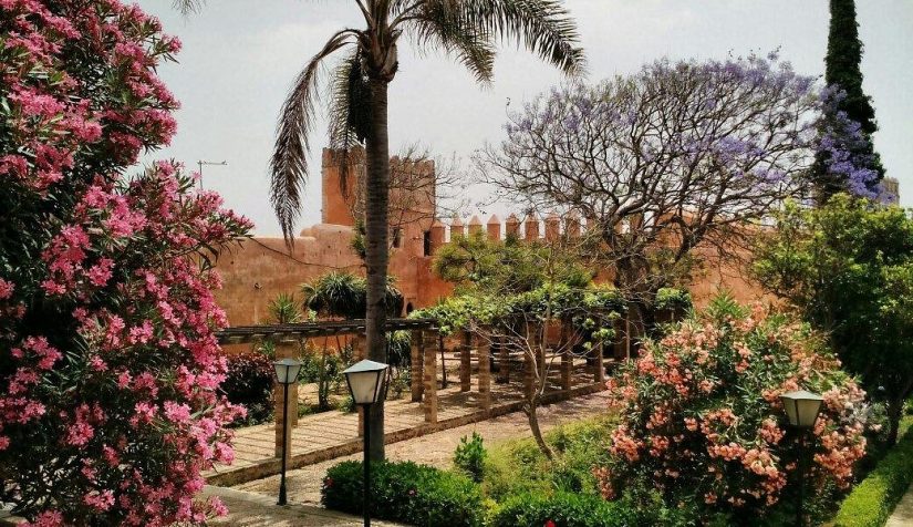Giardini Andalusi