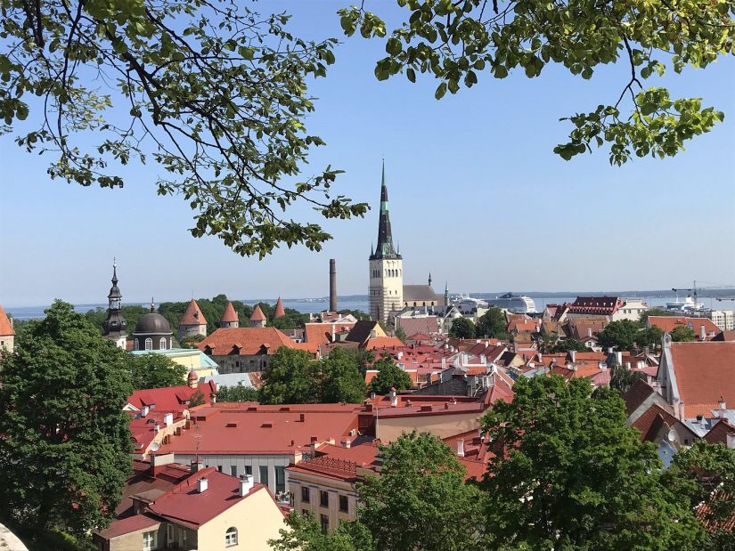 Kohtuotsa kilátó