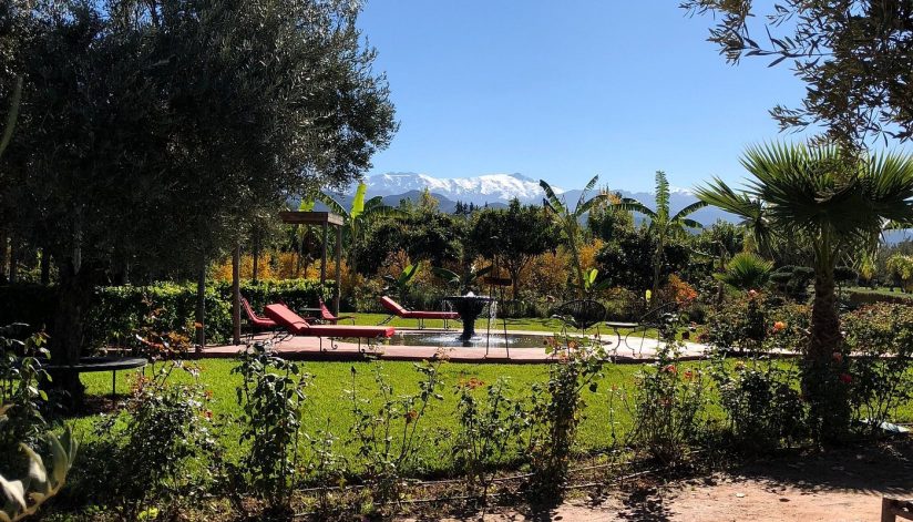 Paradiso dello zafferano