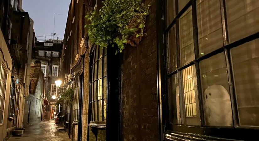 Goodwin's Court