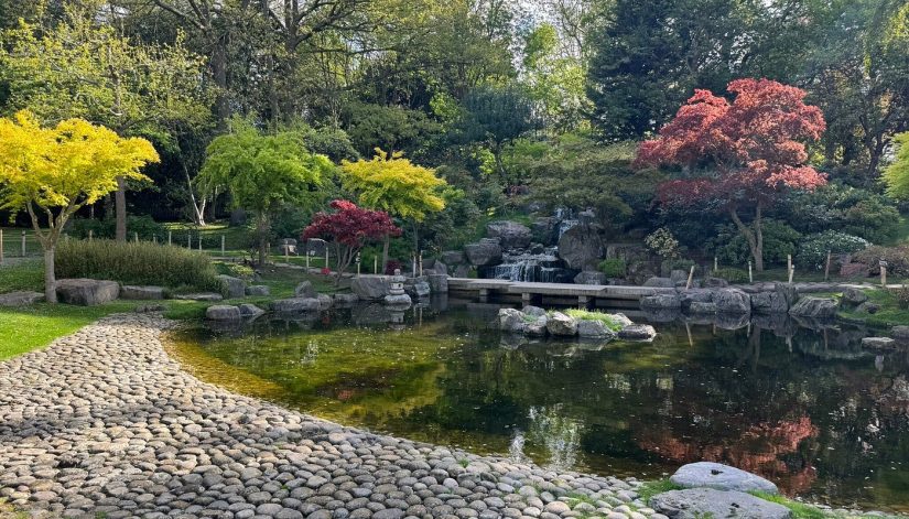 Kyoto Bahçesi