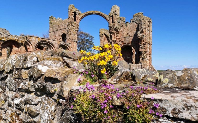 Lindisfarne Manastırı
