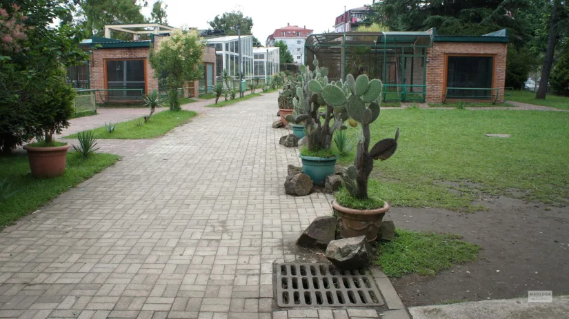 Batum Hayvanat Bahçesi