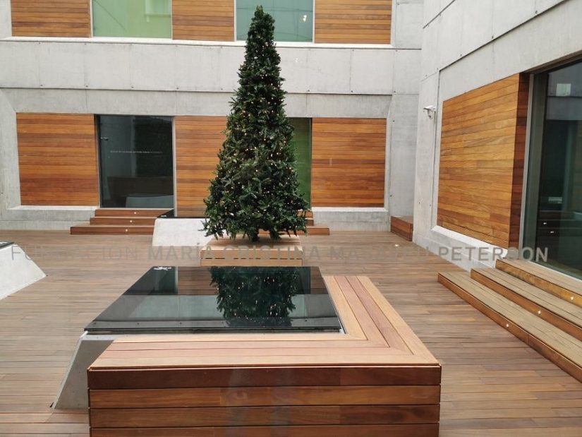 María Cristina Masaveu Peterson Foundation