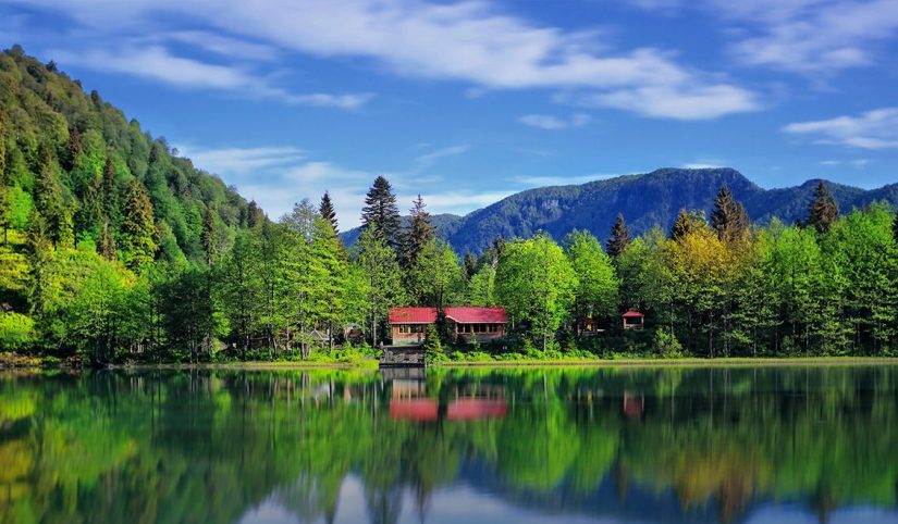 Artvin Gezi Rehberi