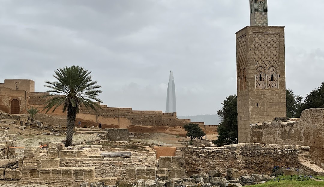 Selâ Gezi Rehberi