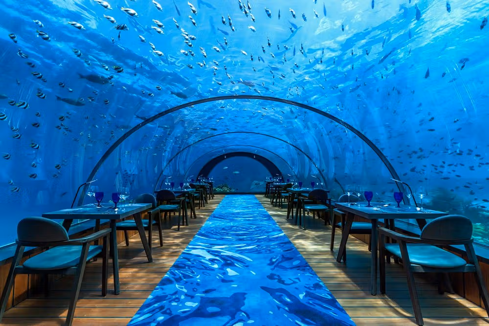 5.8 Undersea Restaurant