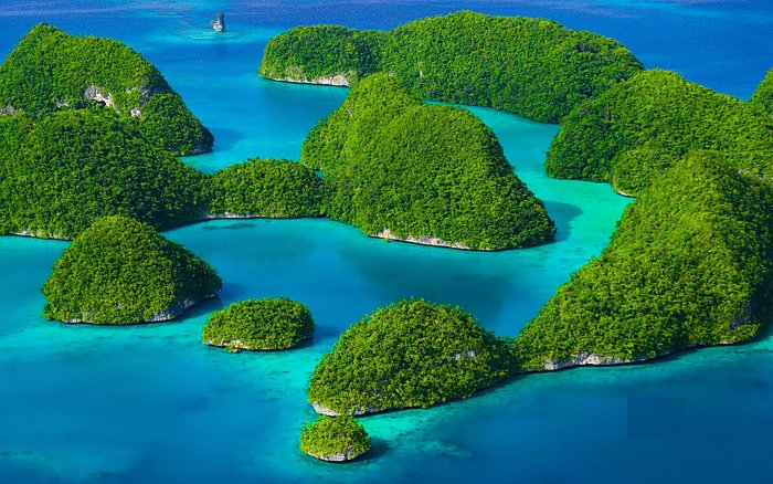 Palau Gezi Rehberi