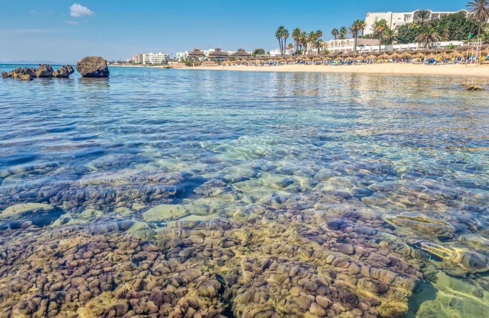 Hammamet