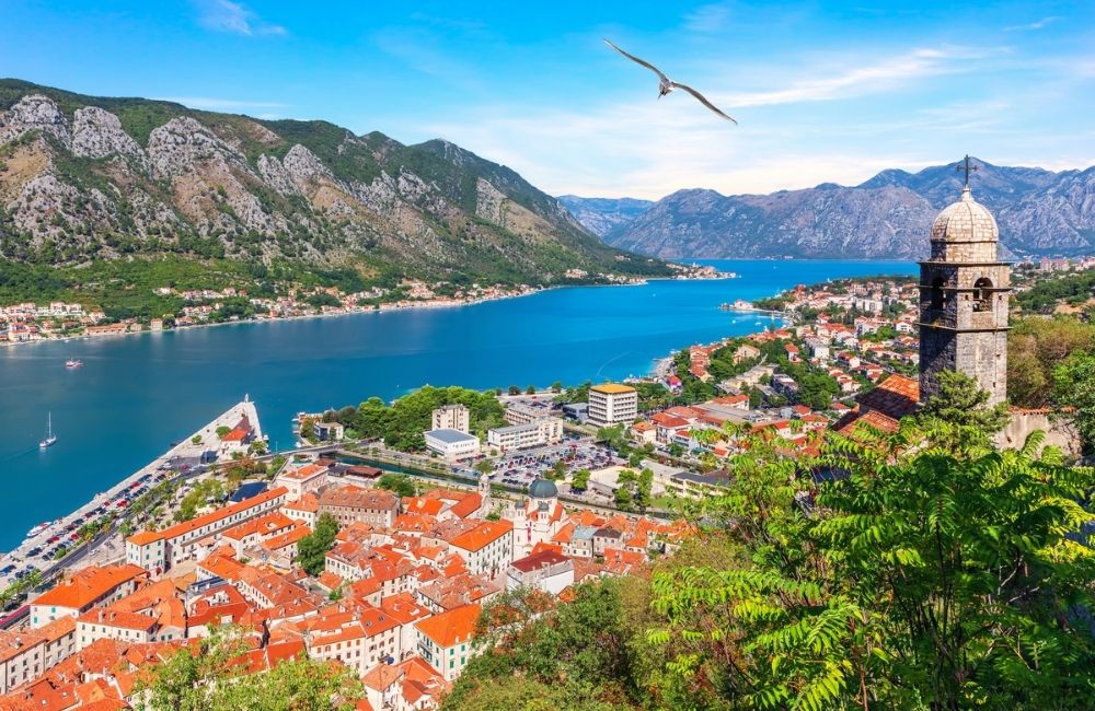 Kotor