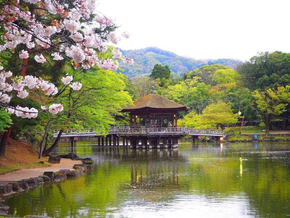 Nara Parkı