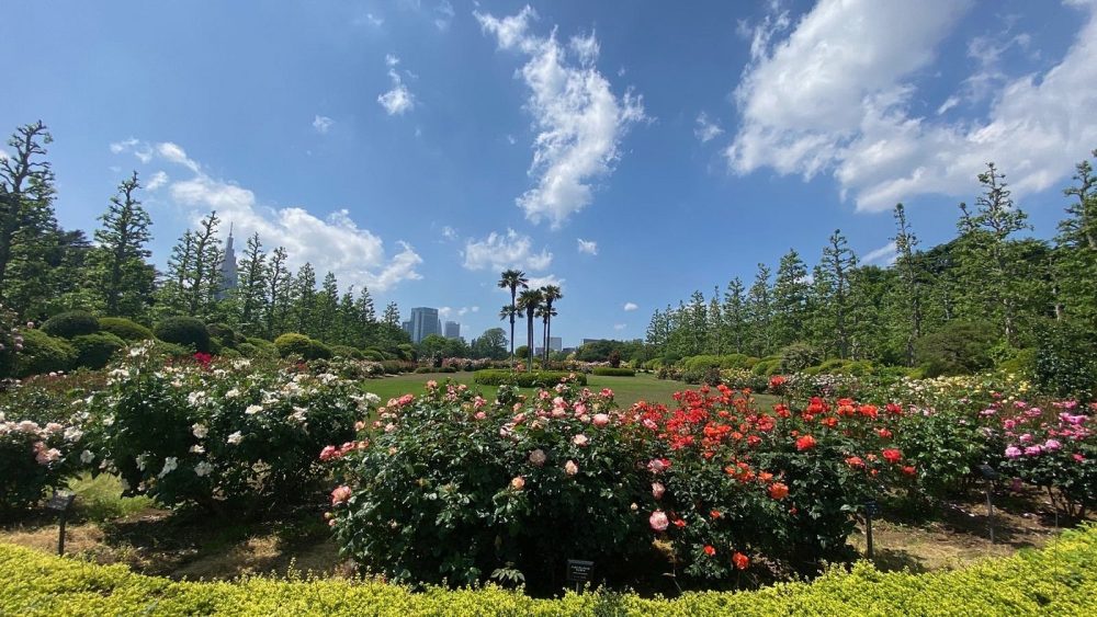 Shinjuku Gyoen Ulusal Bahçesi