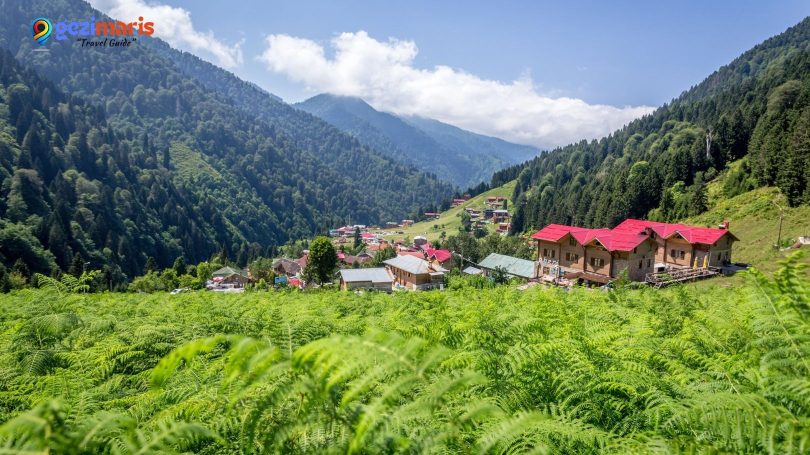 Ayder Yaylası